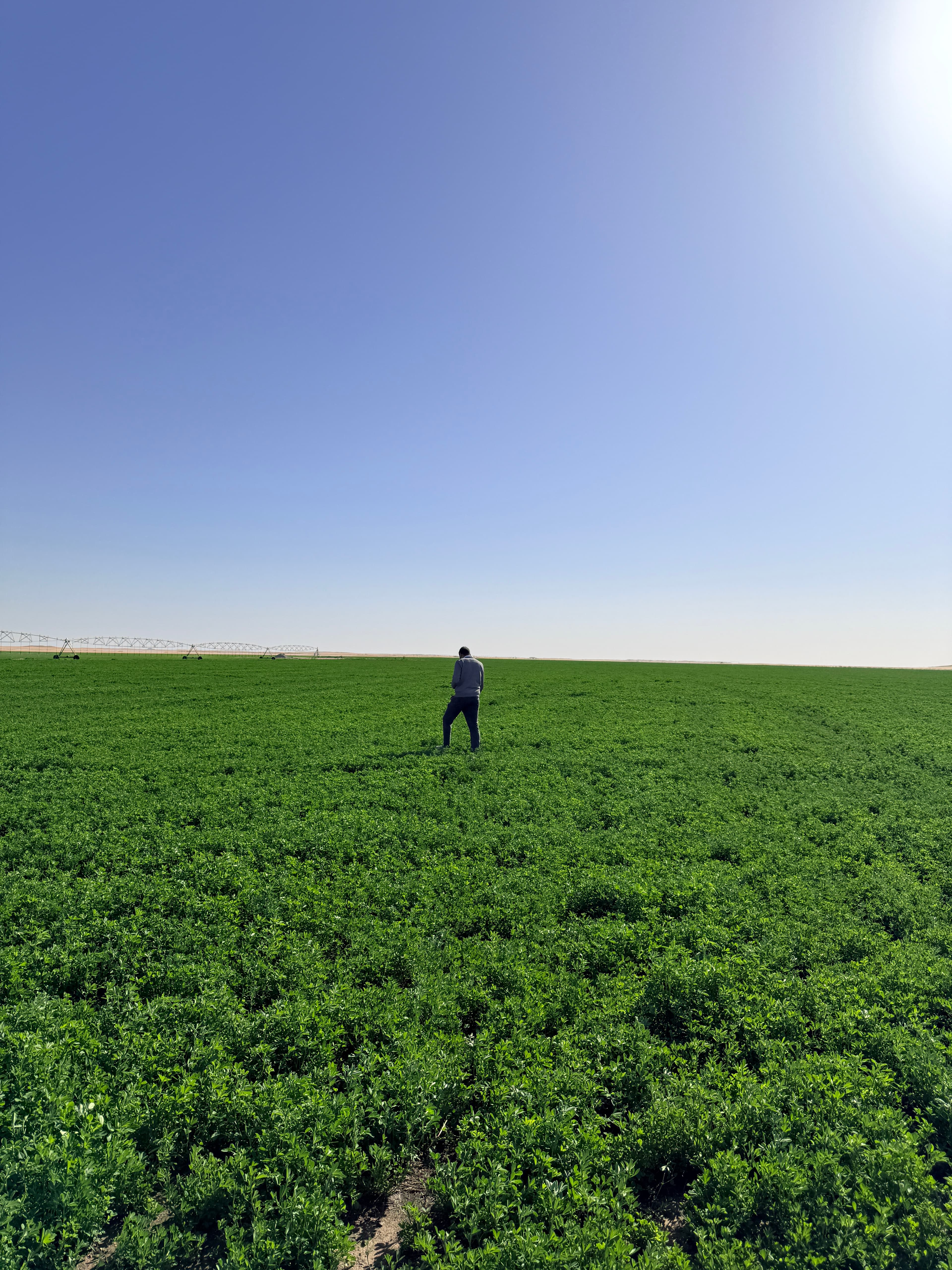 BlackFarms aerial view