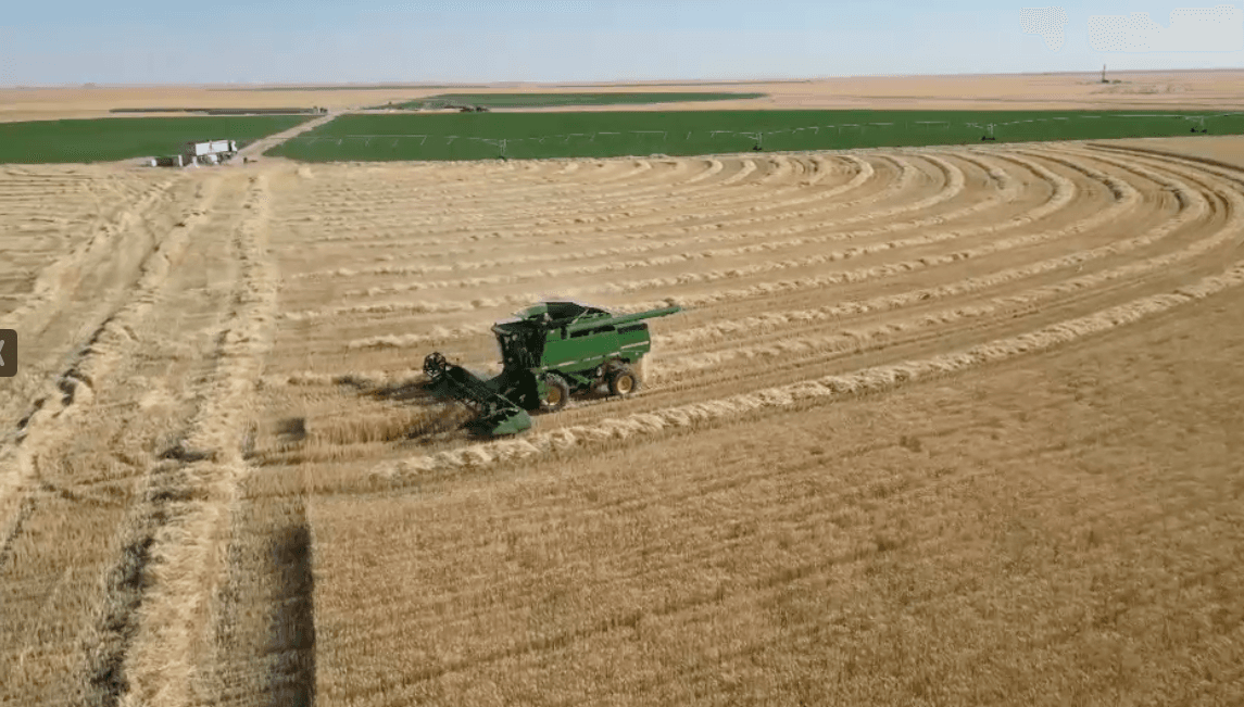 Machinery & Services