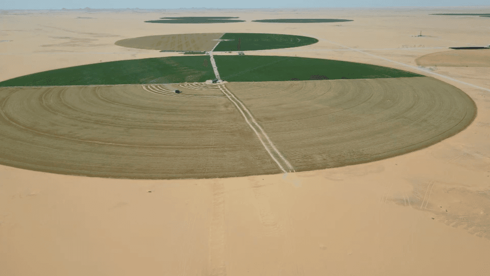 BlackFarms pivot irrigation aerial view