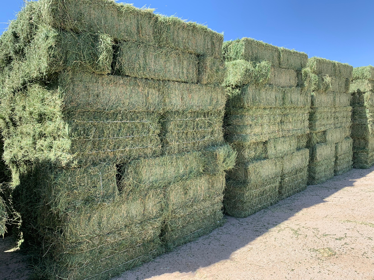 Stacked alfalfa hay bales ready for export
