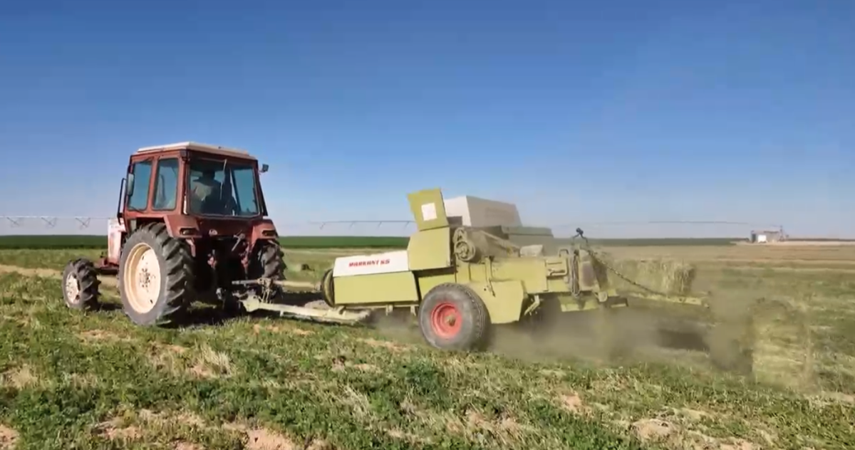Tractor baling alfalfa hay on the farm